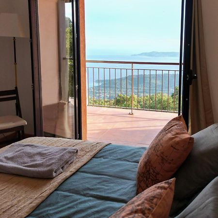 Grande Villa 750 M2 Le Mas Des Chenes Bormes-les-Mimosas Εξωτερικό φωτογραφία