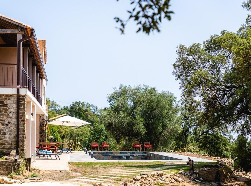 Grande Villa 750 M2 Le Mas Des Chenes Bormes-les-Mimosas Εξωτερικό φωτογραφία