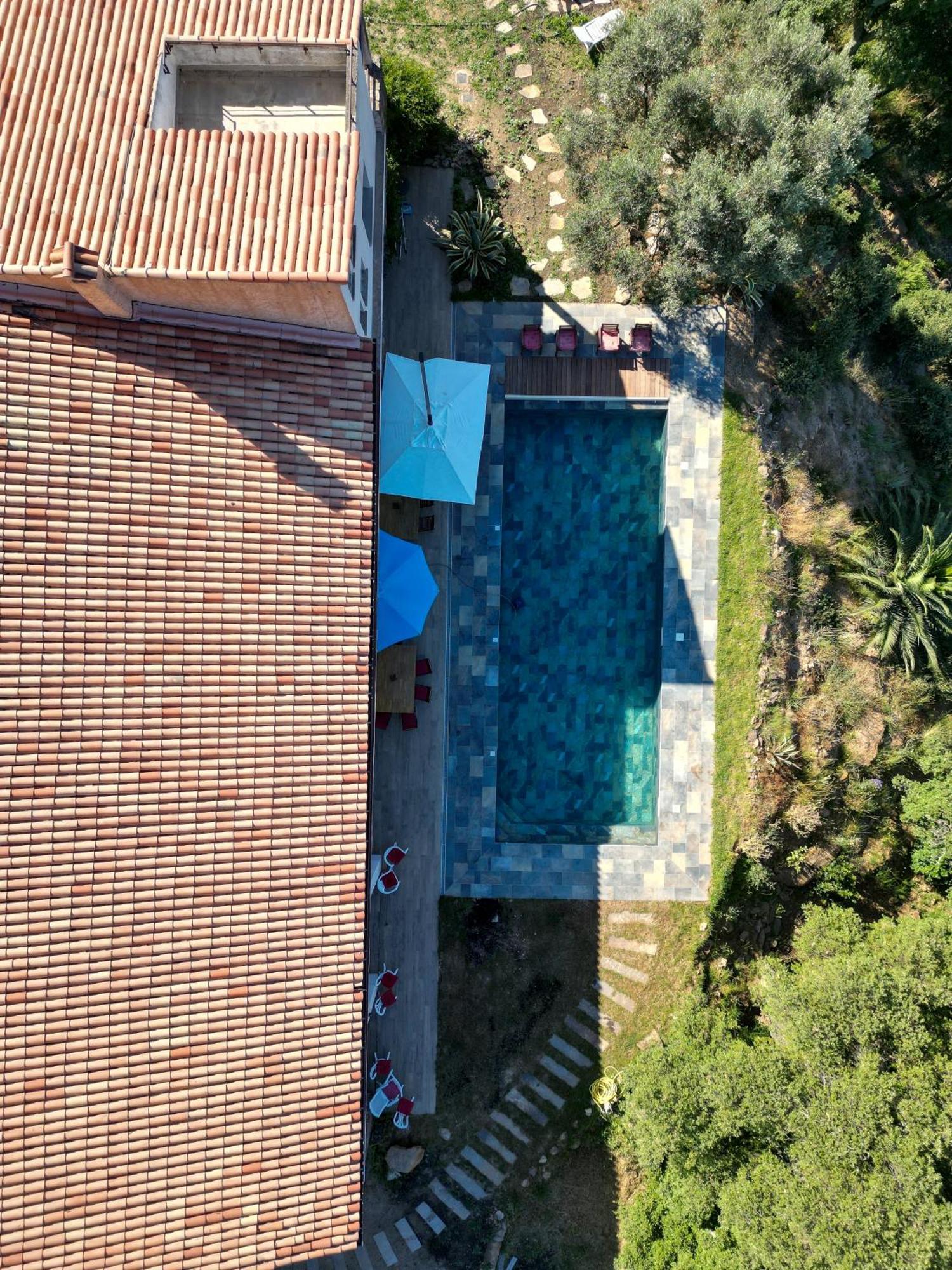 Grande Villa 750 M2 Le Mas Des Chenes Bormes-les-Mimosas Εξωτερικό φωτογραφία